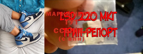 эйфоретик Алзамай