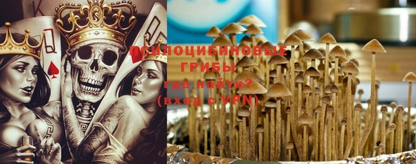 эйфоретик Алзамай