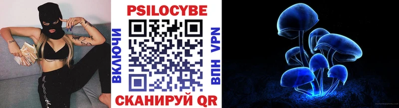 где найти наркотики  Южно-Сухокумск  Псилоцибиновые грибы GOLDEN TEACHER 